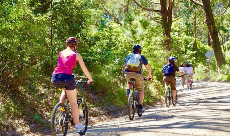 Group of cyclists in summer clothing riding on a dirt path through the Australian bush.