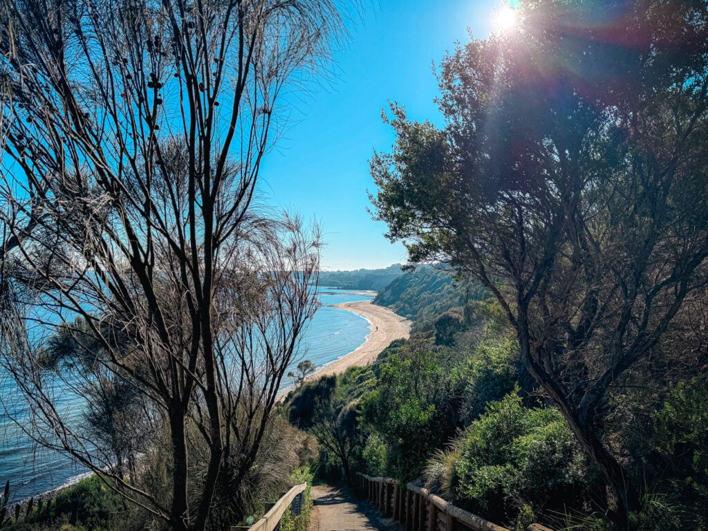 View from clifftops looking out to a bright day at Birdrock Beach in Mount Martha. The steep path is in the foreground leading its way down to the beach.