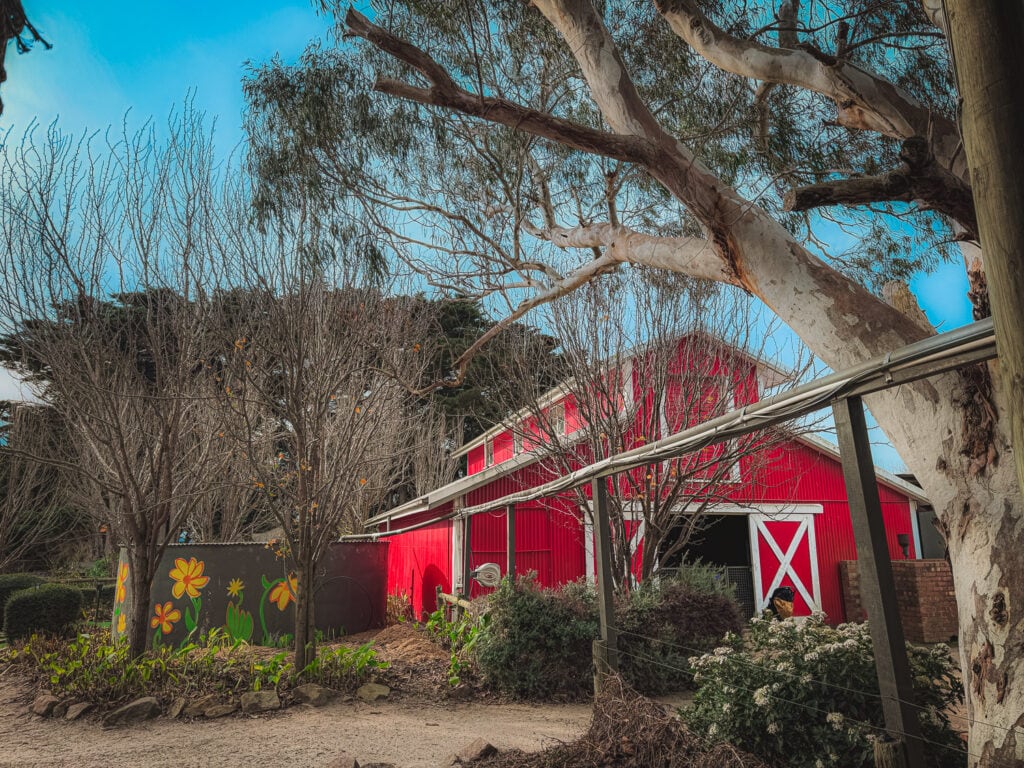 A picture of the big red petting barn at The Big Goose. 