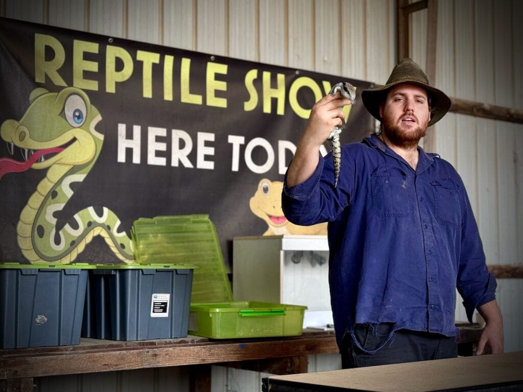 Zoo keeper holding up a blue tongue lizard during the reptile show.