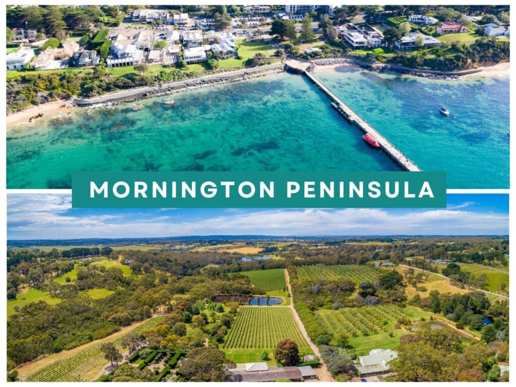 One aerial photo of the pier reaching out into blue ocea at Portsea. One aerial photo of the vineyards on the Mornington Peninsula