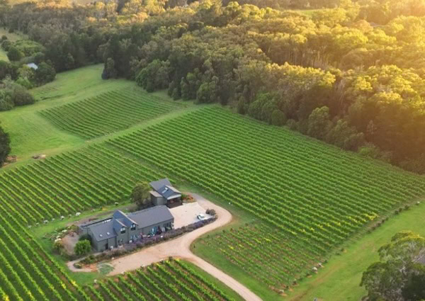 Aerial view of Eldridge Estate winery and accommodation situated in the middle of an 8 acre vineyard.