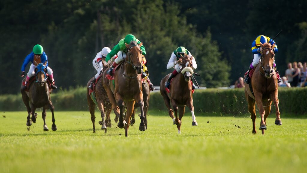 Horses racing down the track at Mornington Race Course.