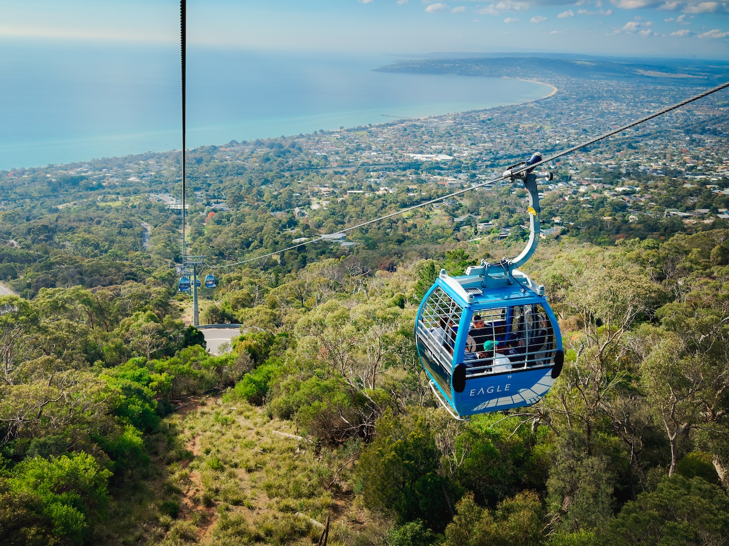 Eagle Cable Car making it's way down a steep tree lined slope with the beach and view across Port Phillip Bay in the distance.